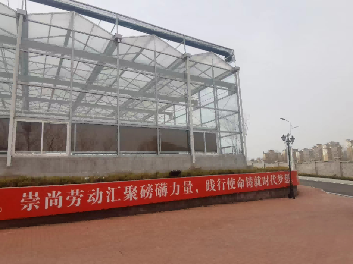 行走5(1).png 行走5(1).png